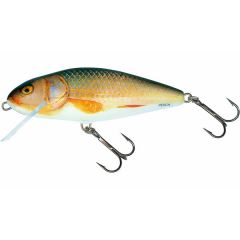 Salmo Perch 8cm Floating Real Roach